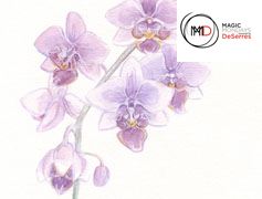 MAGIC MONDAYS PM - Botanical Watercolour Painting - AT VAM